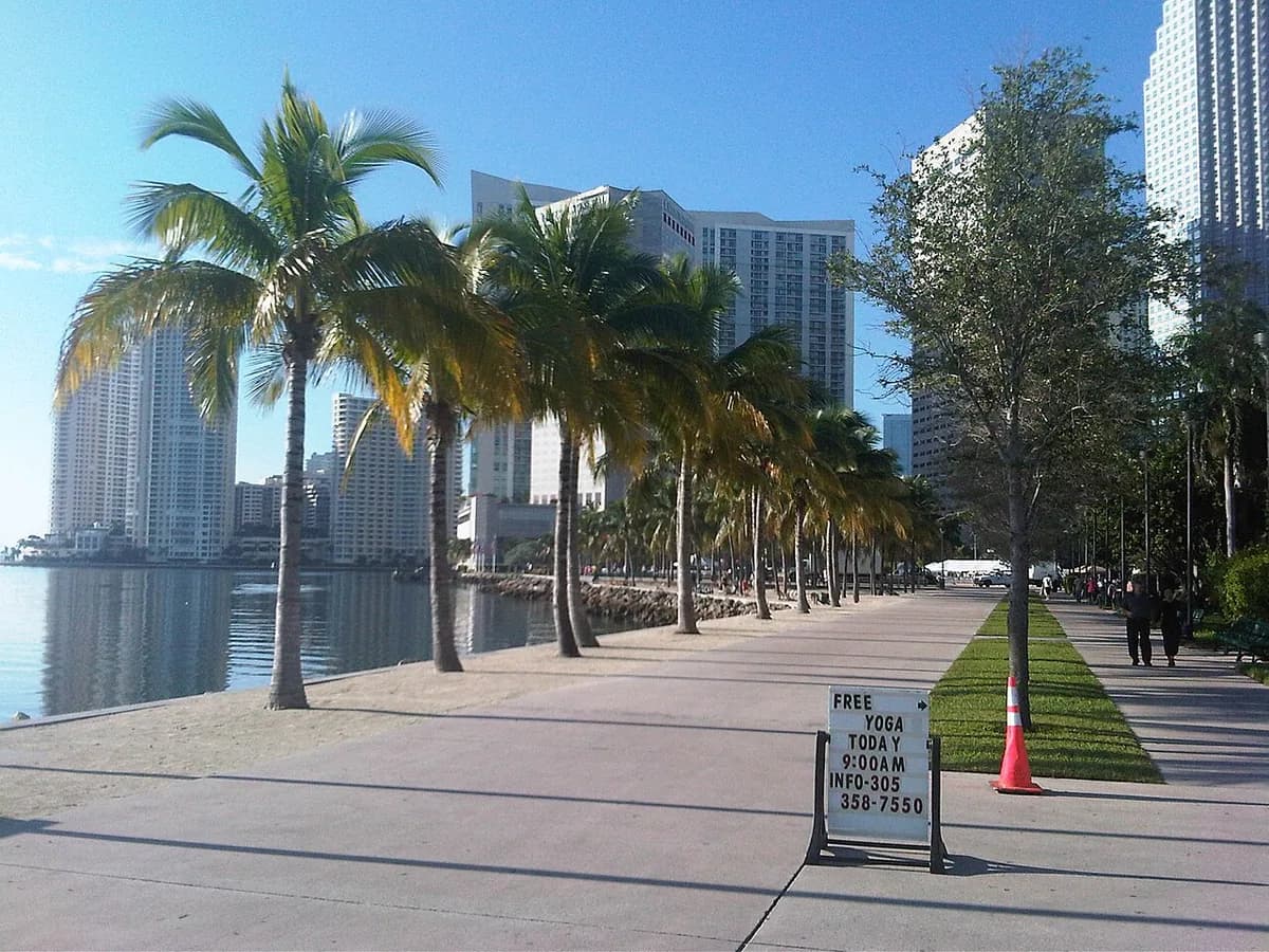 Bayfront Park palm promenade with towers in Miami, Florida